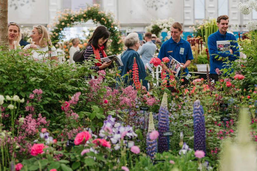 Gardening Fan Watch The Rhs Chelsea Flower Show Virtually This